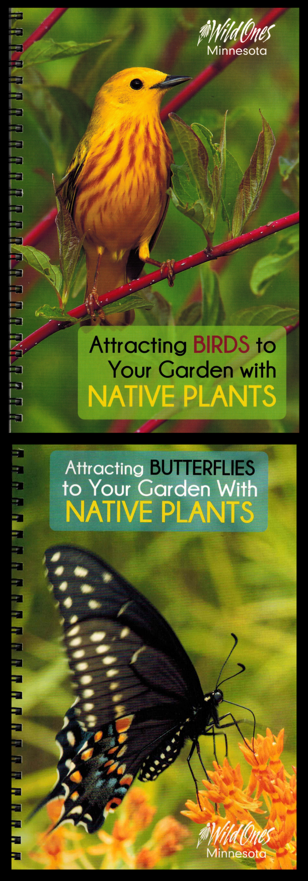 Attracting Birds & Butterflies to Your Garden with Native Plants