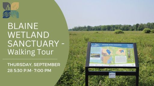text: Blaine Wetland Sanctuary Walking Tour and photo of informational sign in front of wetland vegetation