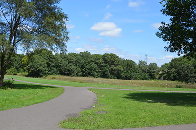 asphalt path on the edge of grassy field, stand of trees and blue sky with clouds in the background