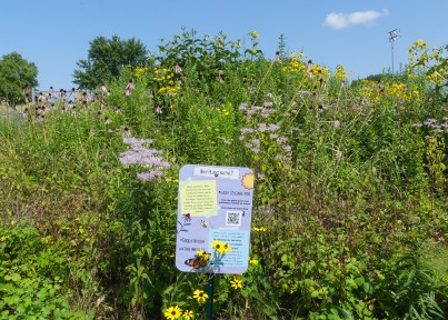 sign in front of vegetation