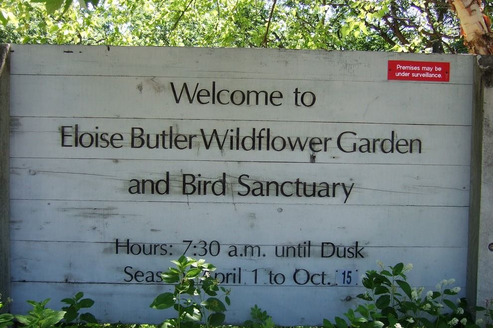Eloise Butler Wildflower Garden in Spring