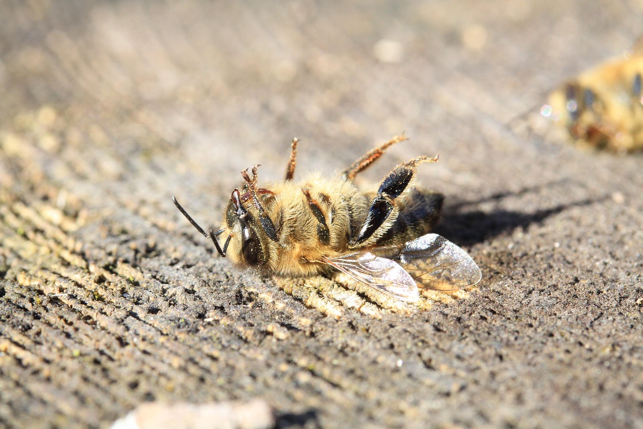 NEONICOTINOID LOBBY DAY AT THE STATE CAPITOL