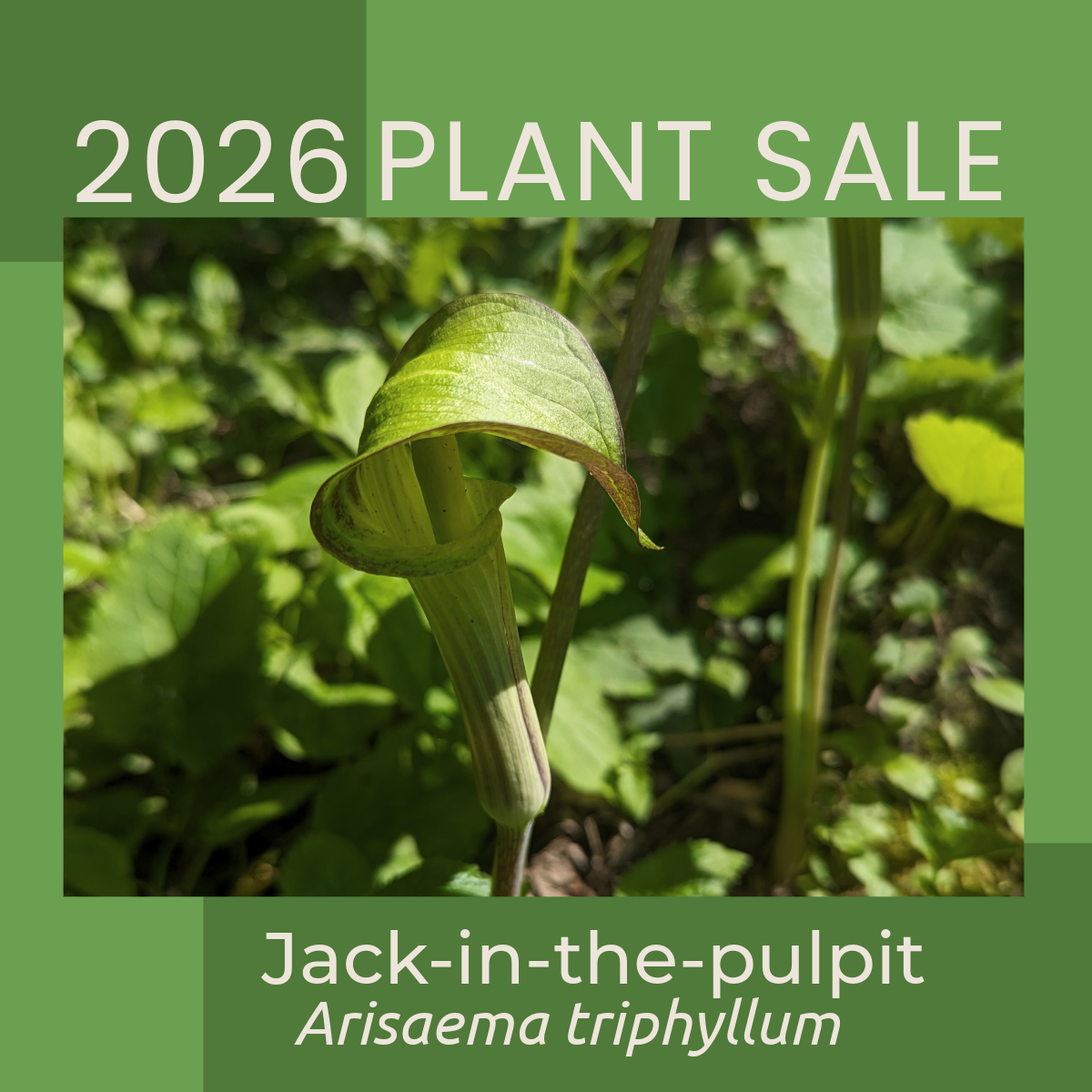 2026 Big River Big Woods Native Plant Sale