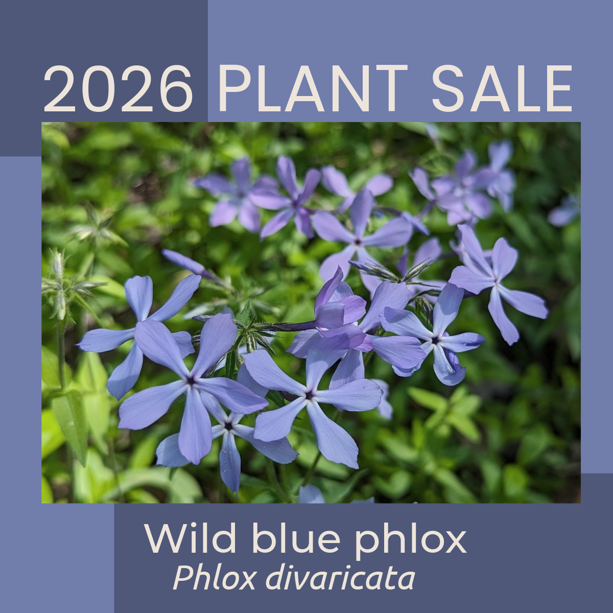 2026 Big River Big Woods Native Plant Sale