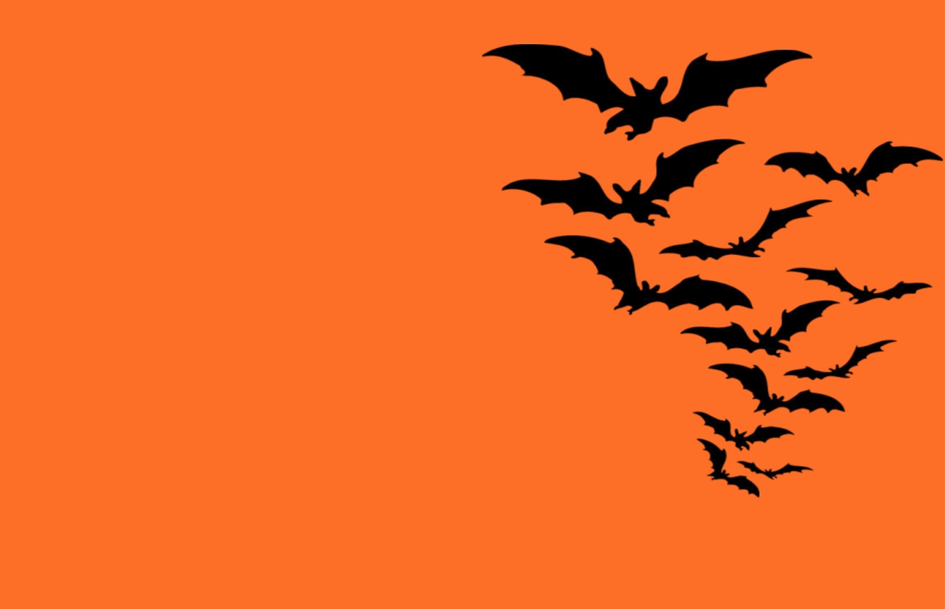 11 bat silhouettes